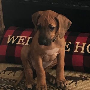 Meet your Posher, Holly